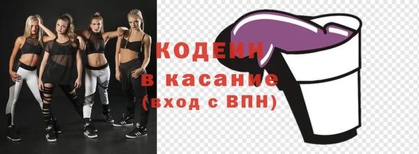 хмурый Аркадак