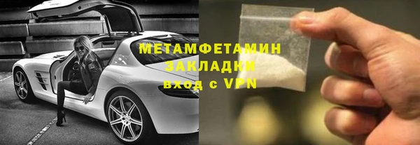 хмурый Аркадак