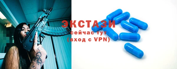 хмурый Аркадак