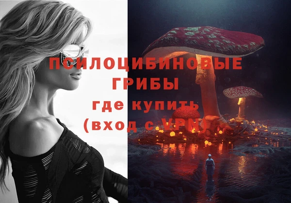 прущий лед Армянск