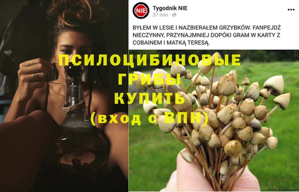 прущий лед Армянск