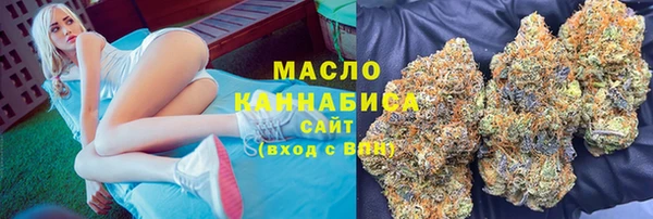 хмурый Аркадак
