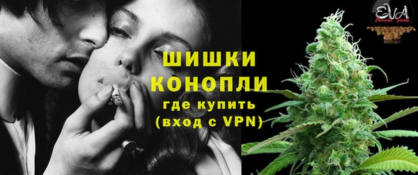 хмурый Аркадак
