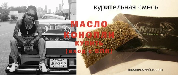 хмурый Аркадак