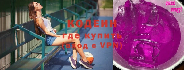 хмурый Аркадак