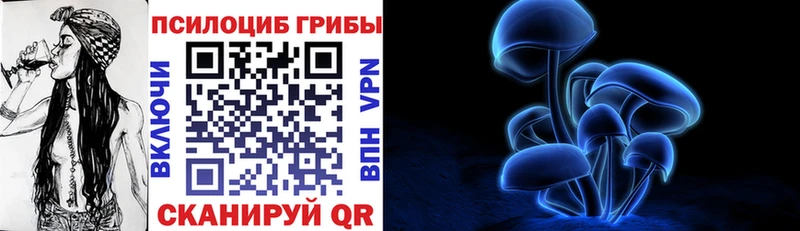 Галлюциногенные грибы Magic Shrooms  гидра tor  Магас  сколько стоит 